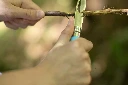opinel8_pique_bois.webp