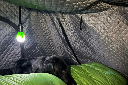 Insulated inner tent Peak Moby Mountain